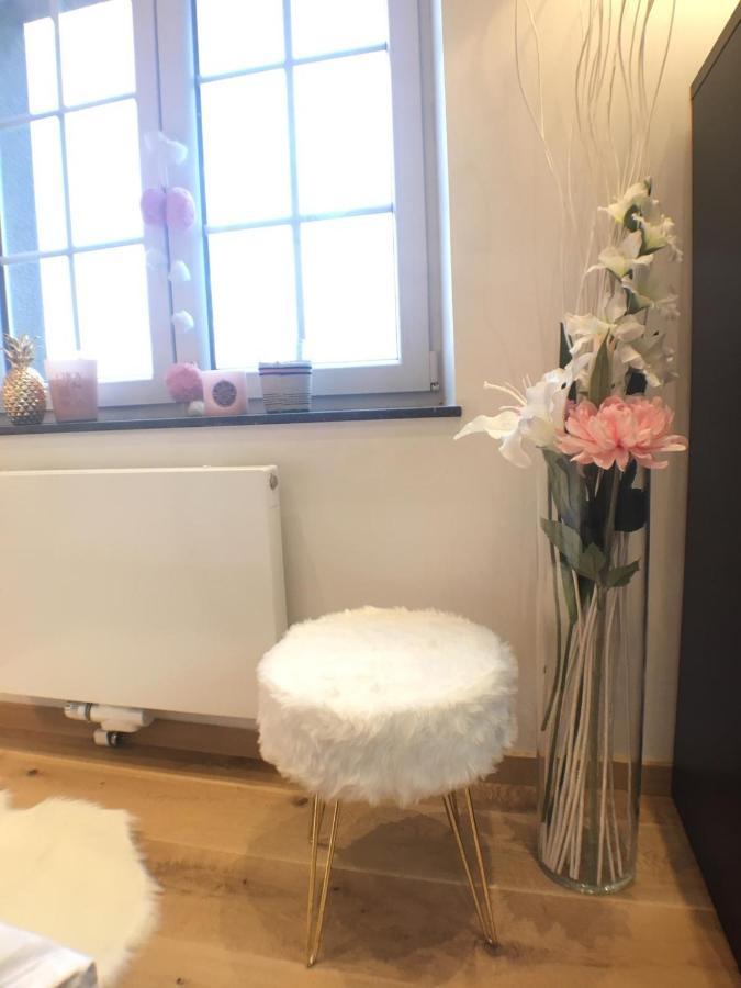 B&B Pegasus II - Chambre Familiale De Luxe Avec Sauna Privatif Vielsalm Eksteriør bilde