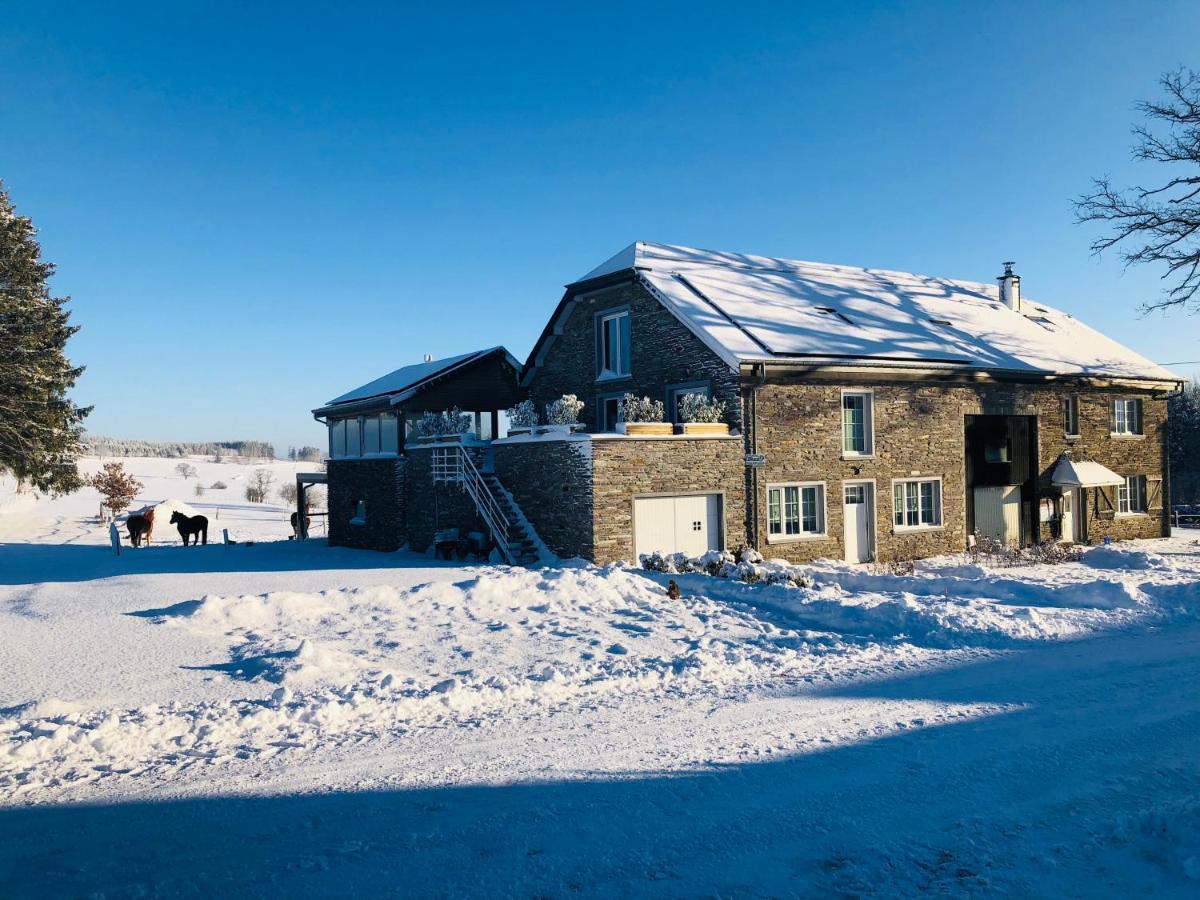 B&B Pegasus II - Chambre Familiale De Luxe Avec Sauna Privatif Vielsalm Eksteriør bilde