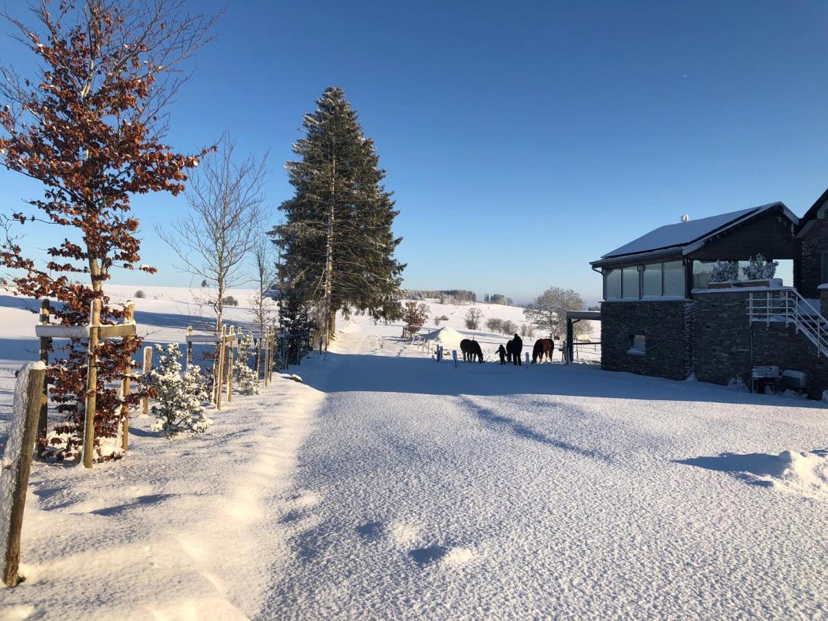 B&B Pegasus II - Chambre Familiale De Luxe Avec Sauna Privatif Vielsalm Eksteriør bilde