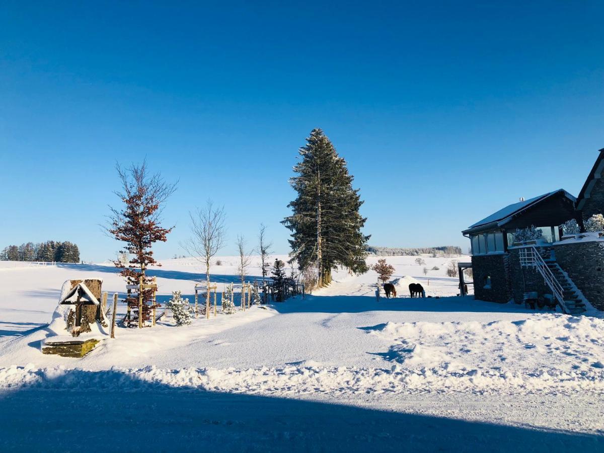 B&B Pegasus II - Chambre Familiale De Luxe Avec Sauna Privatif Vielsalm Eksteriør bilde