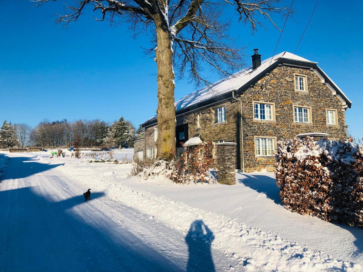 B&B Pegasus II - Chambre Familiale De Luxe Avec Sauna Privatif Vielsalm Eksteriør bilde